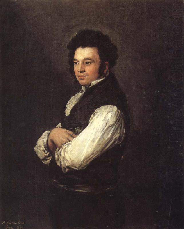 Tiburicio Perez, Francisco Goya
